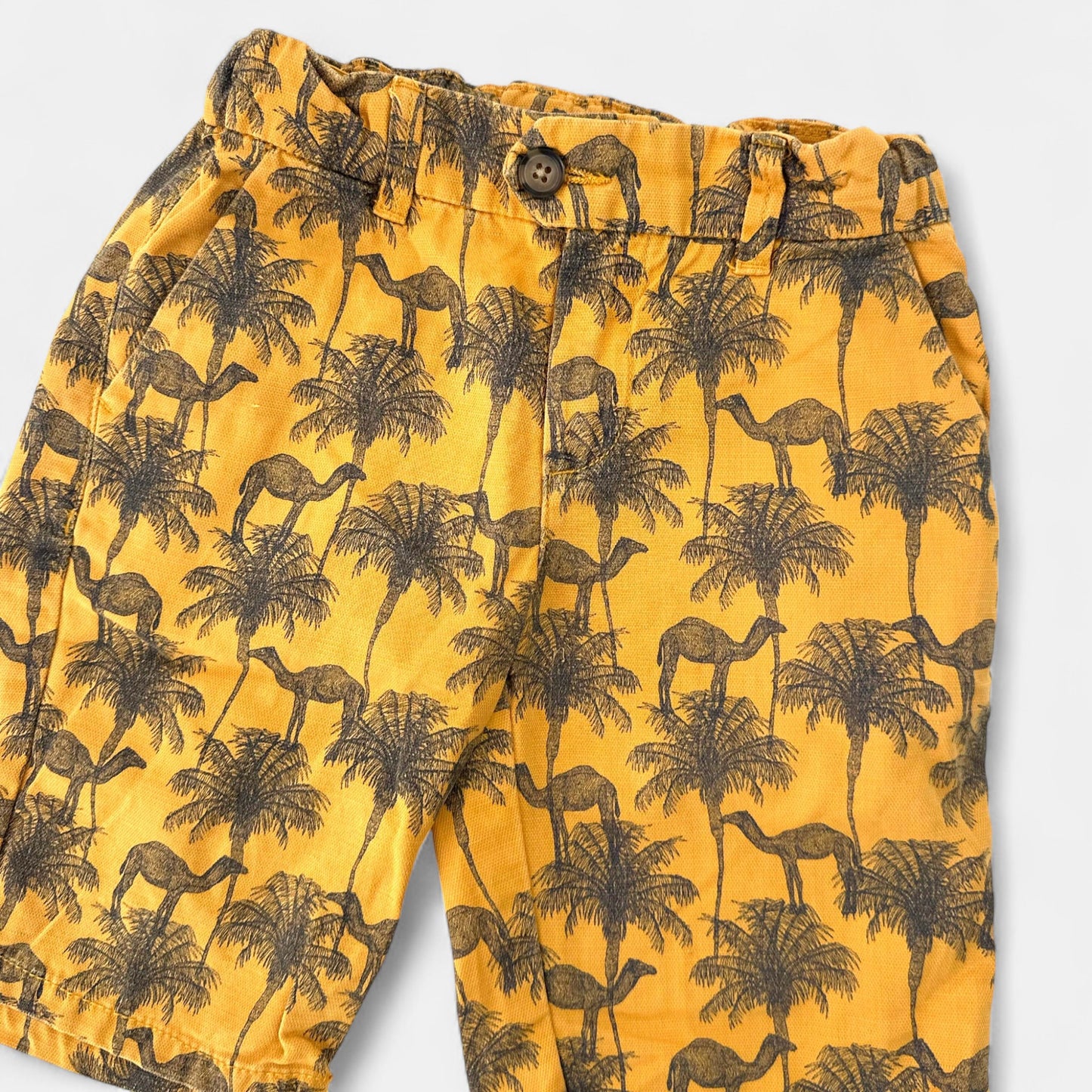 Short Tape à l'oeil : 5 ans