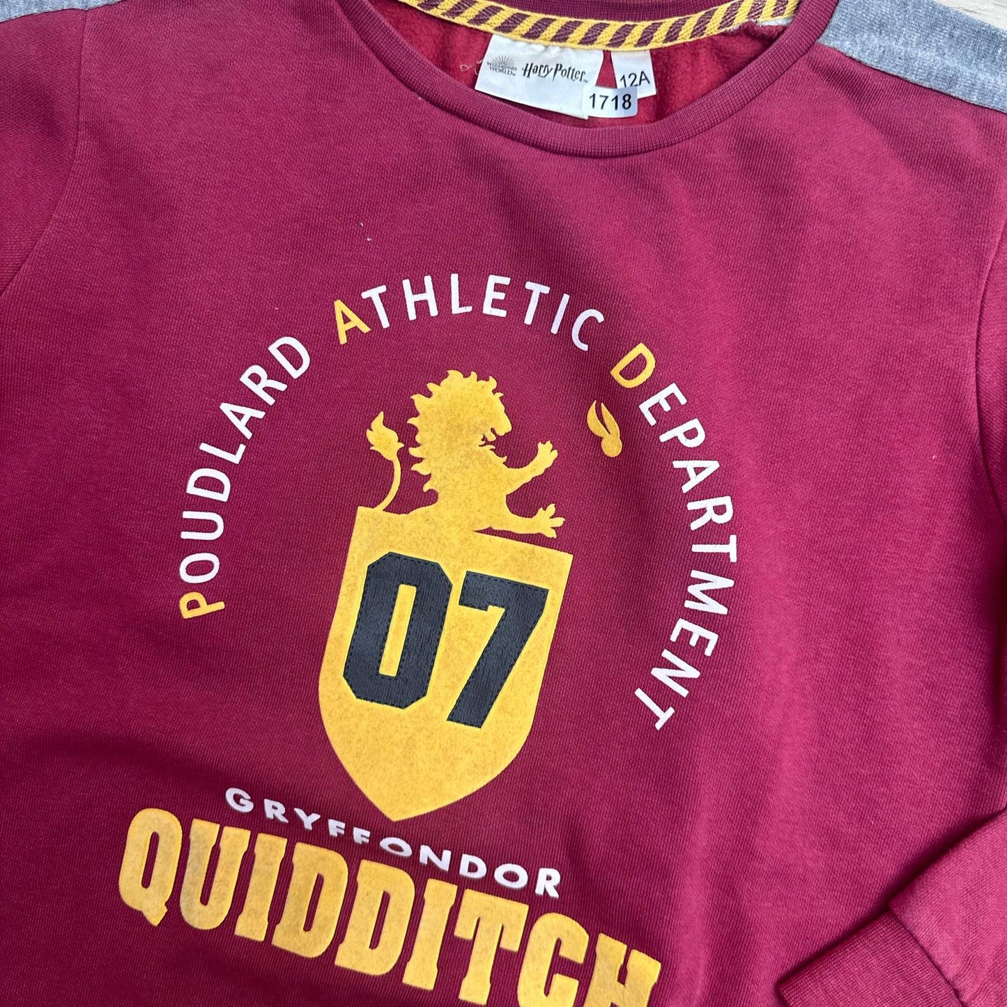 Pull Harry Potter : 12 ans