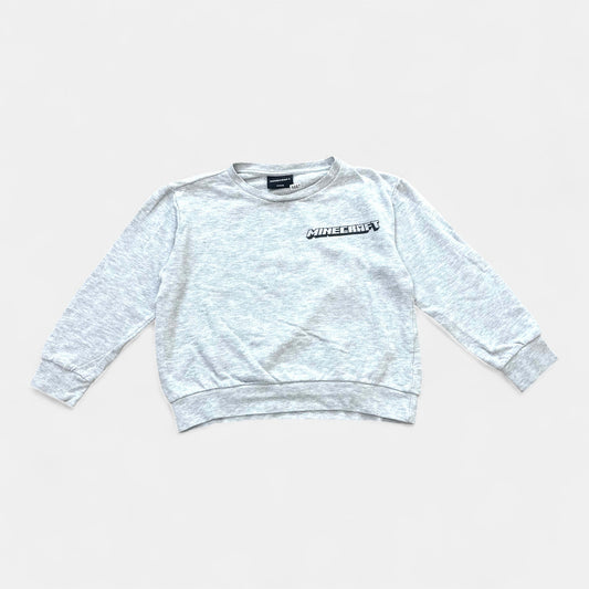 Pull Minecraft : 9 ans