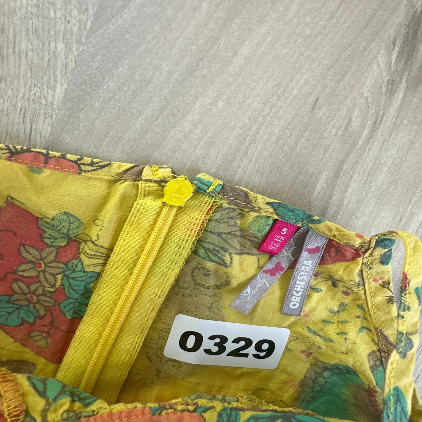 Robe Orchestra : 5 ans