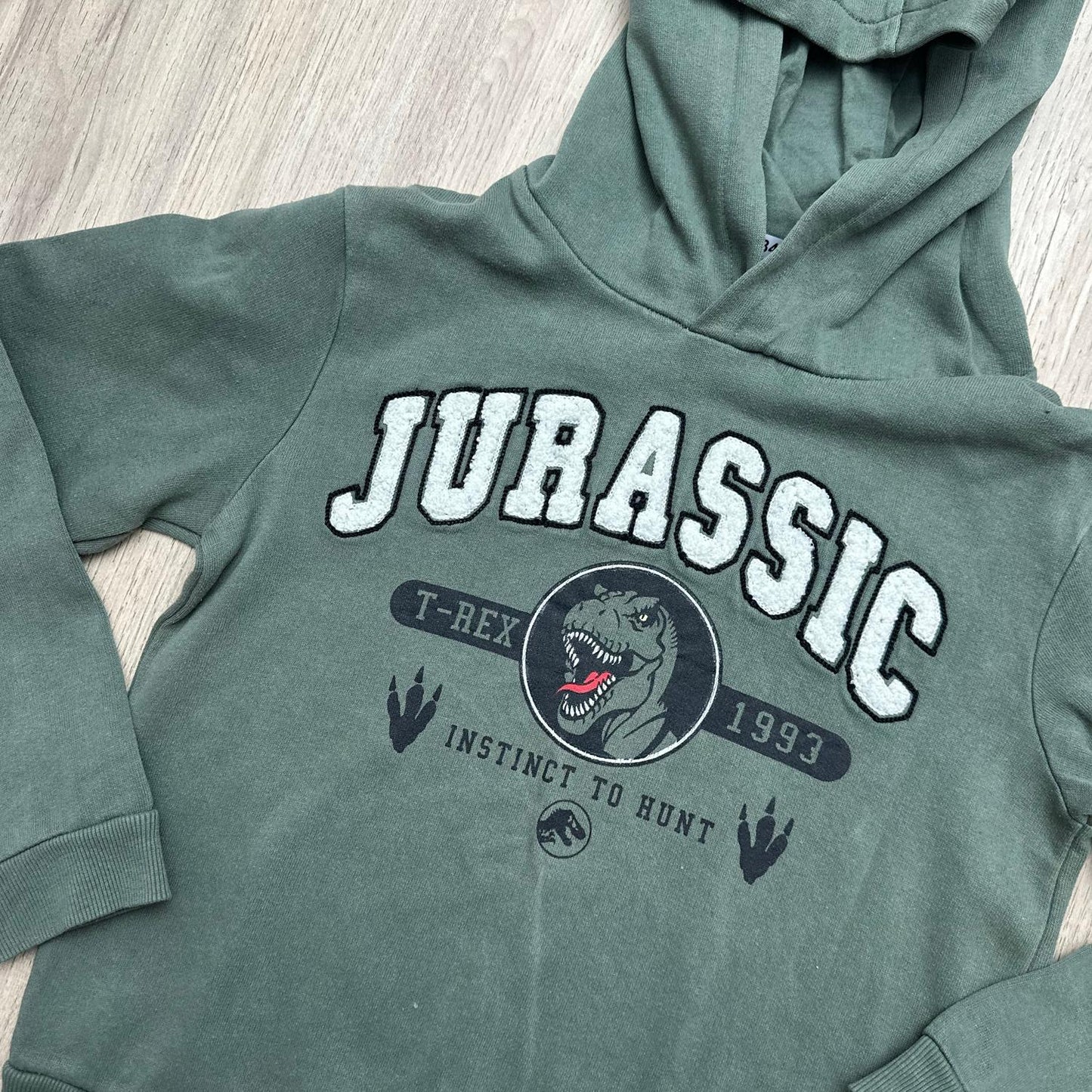 Pull jurassique world : 10 ans
