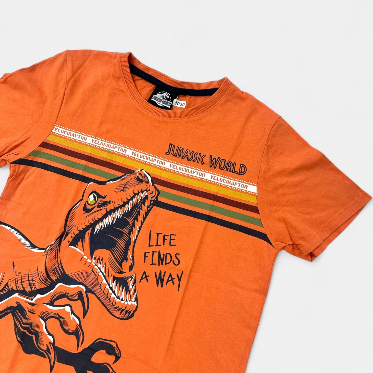 T-Shirt Jurassic World : 12 ans