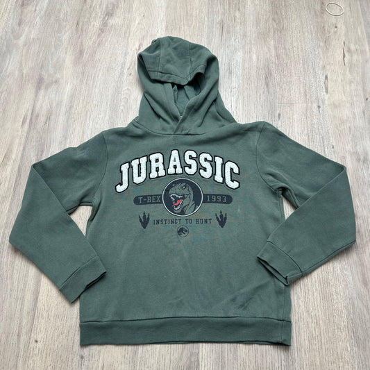 Pull jurassique world : 10 ans