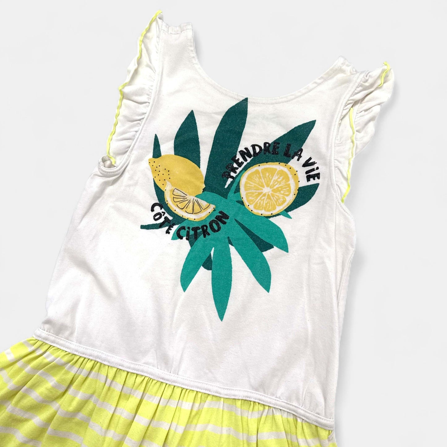 Robe Orchestra : 8 ans