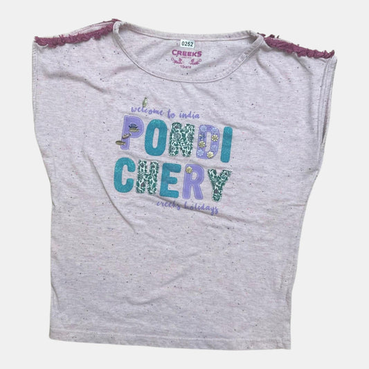 T-shirt creeks : 10 ans