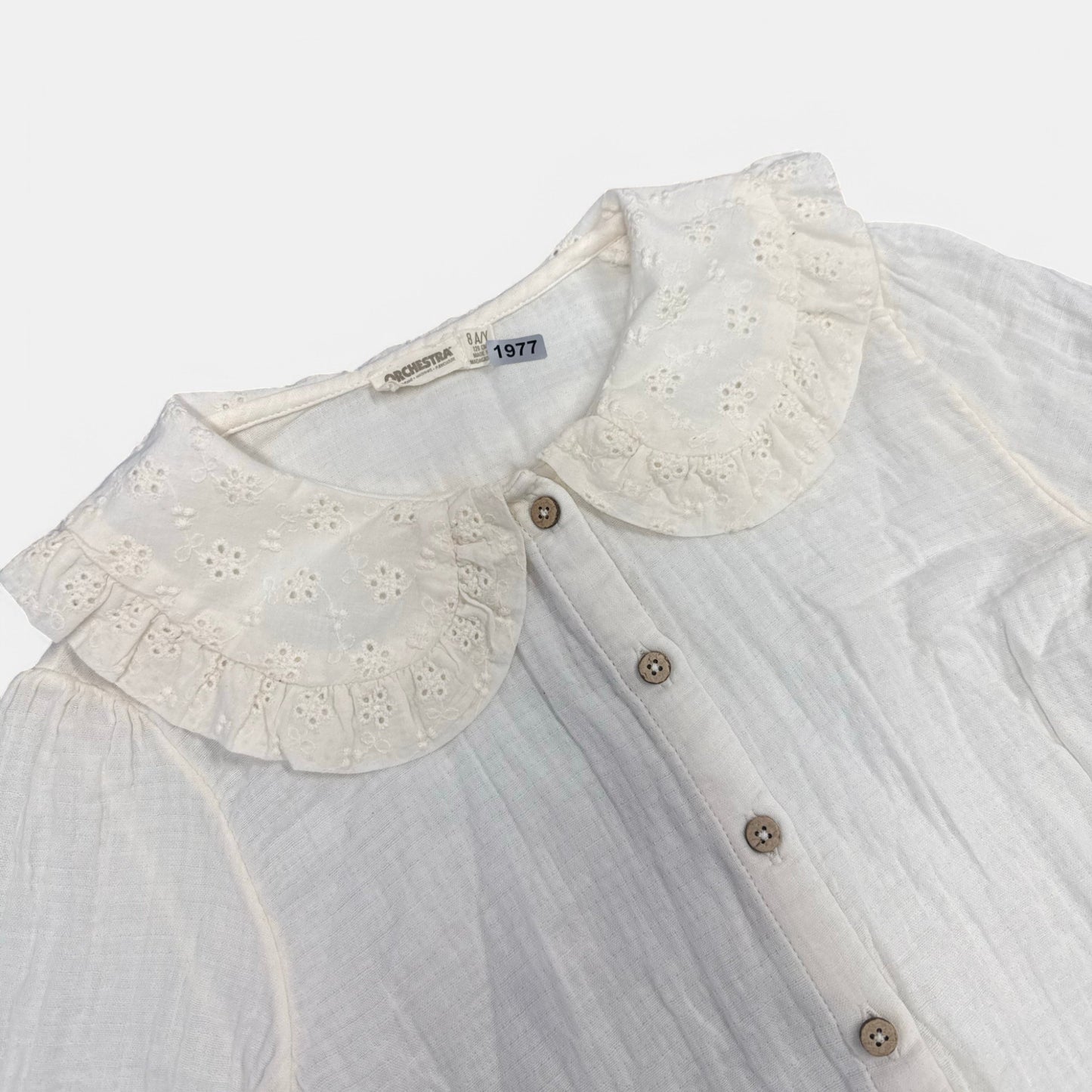 Blouse Orchestra : 8 ans