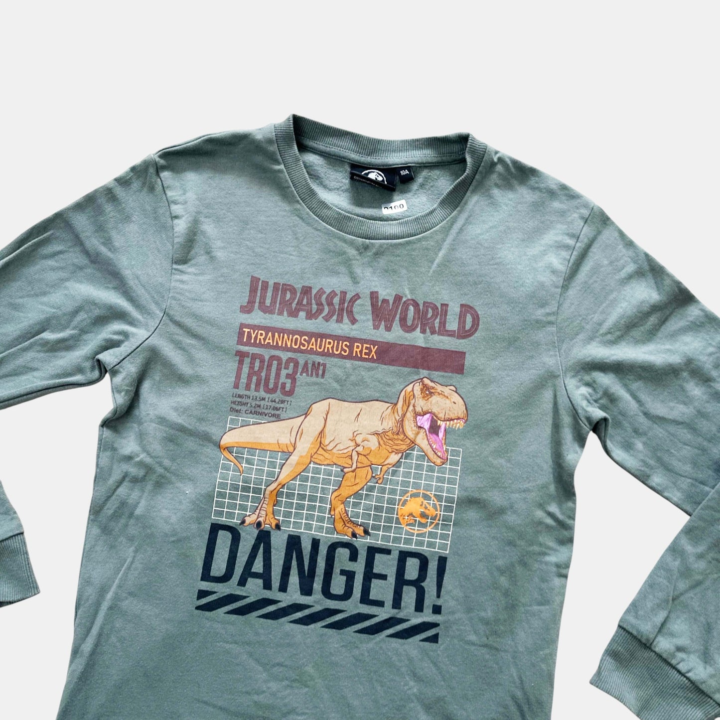 Pull Jurassic World : 10 ans