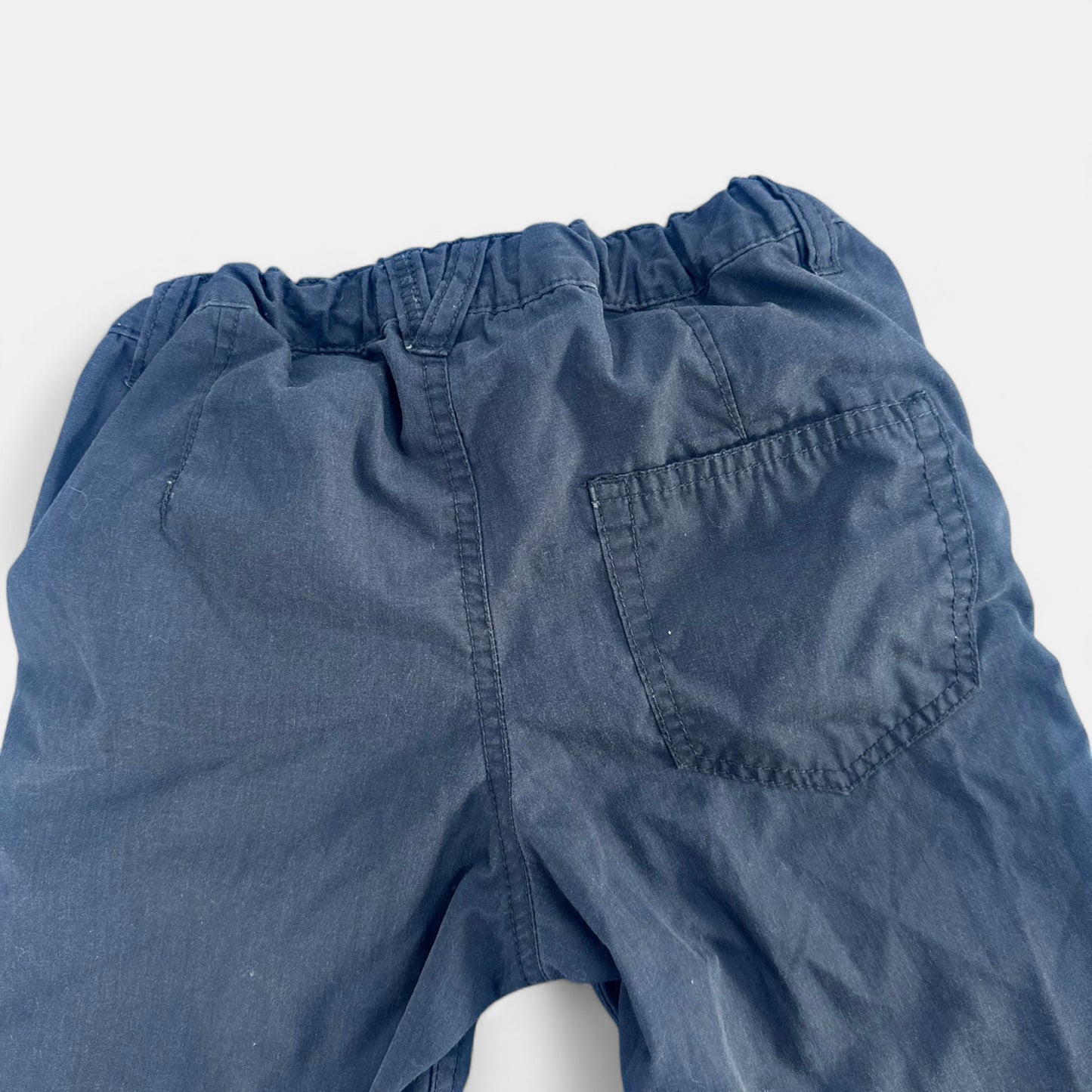 Short Palomino : 8 ans