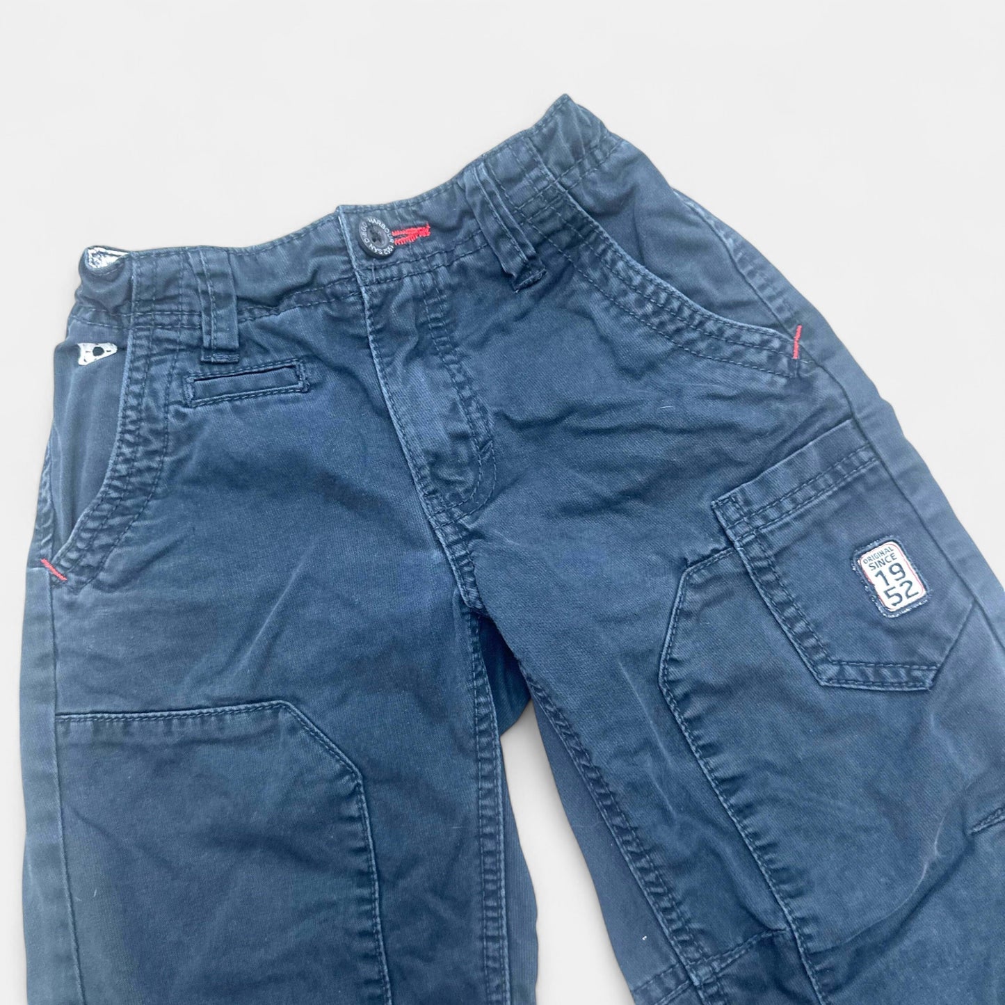 Short Palomino : 8 ans