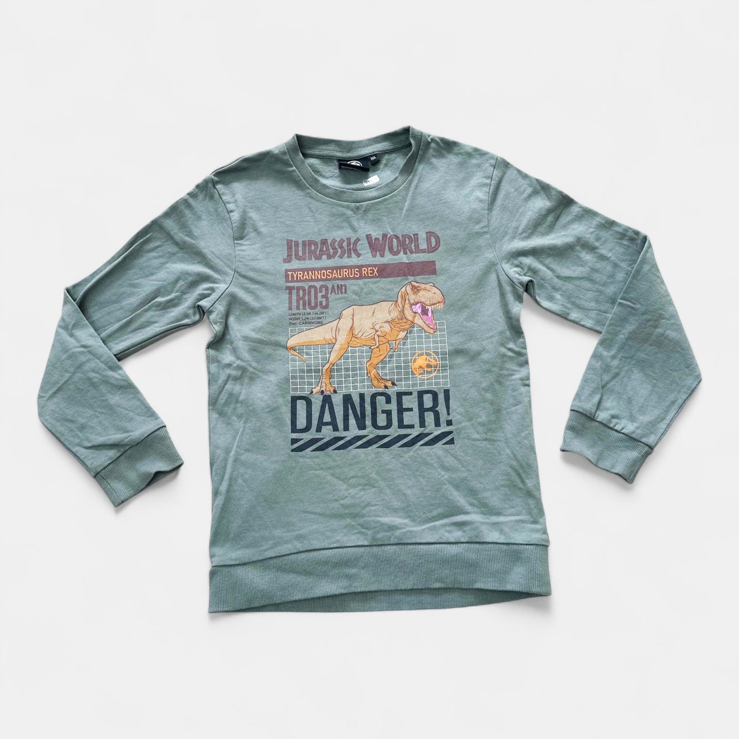 Pull Jurassic World : 10 ans