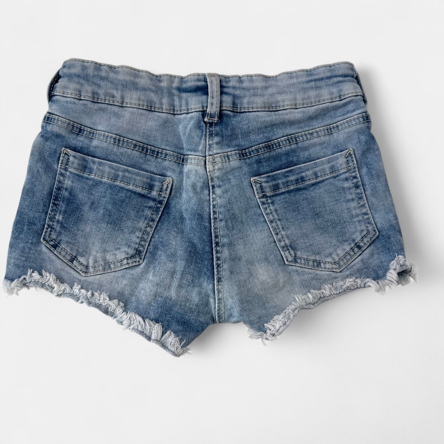 Short Palomino : 6 ans