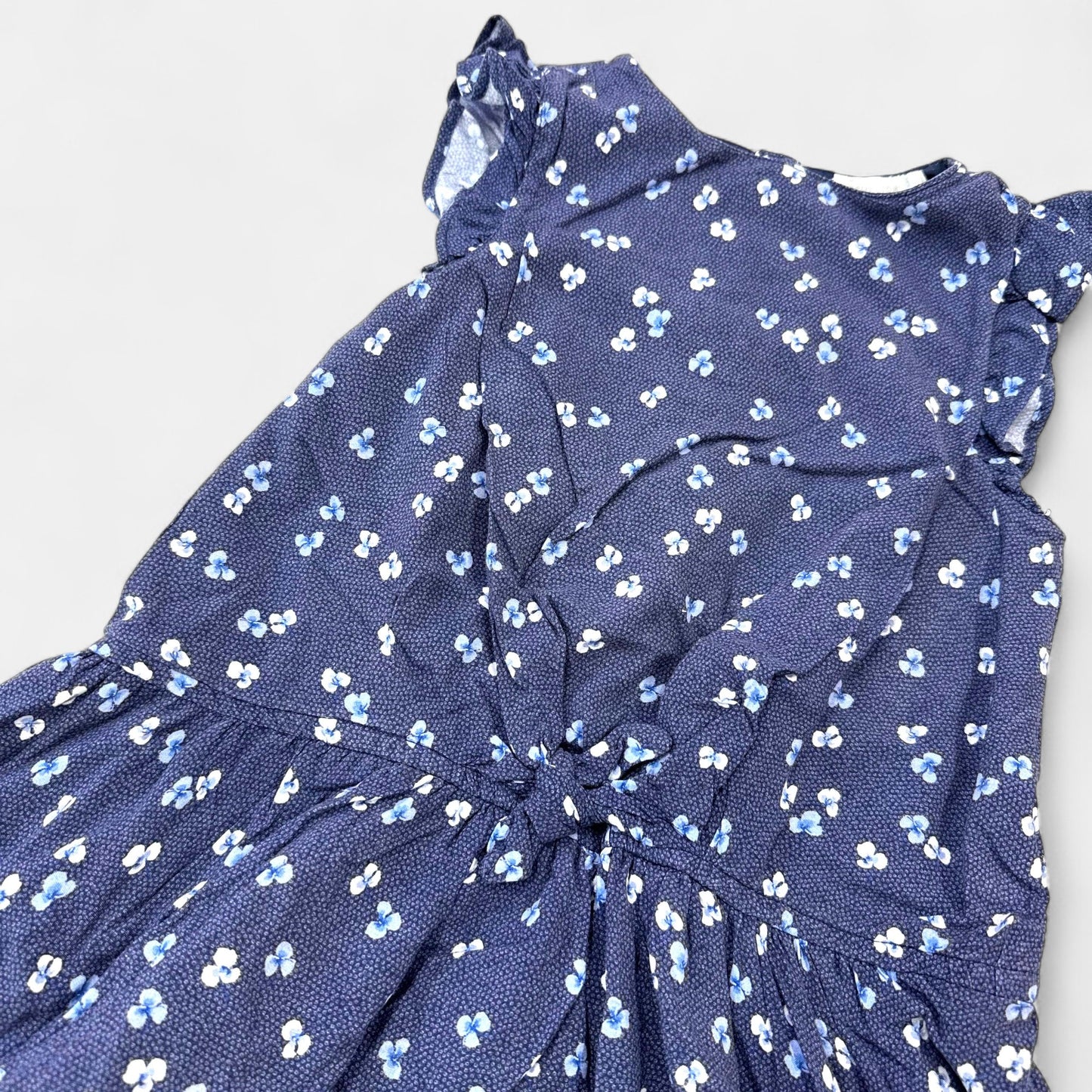 Robe Orchestra : 5 ans