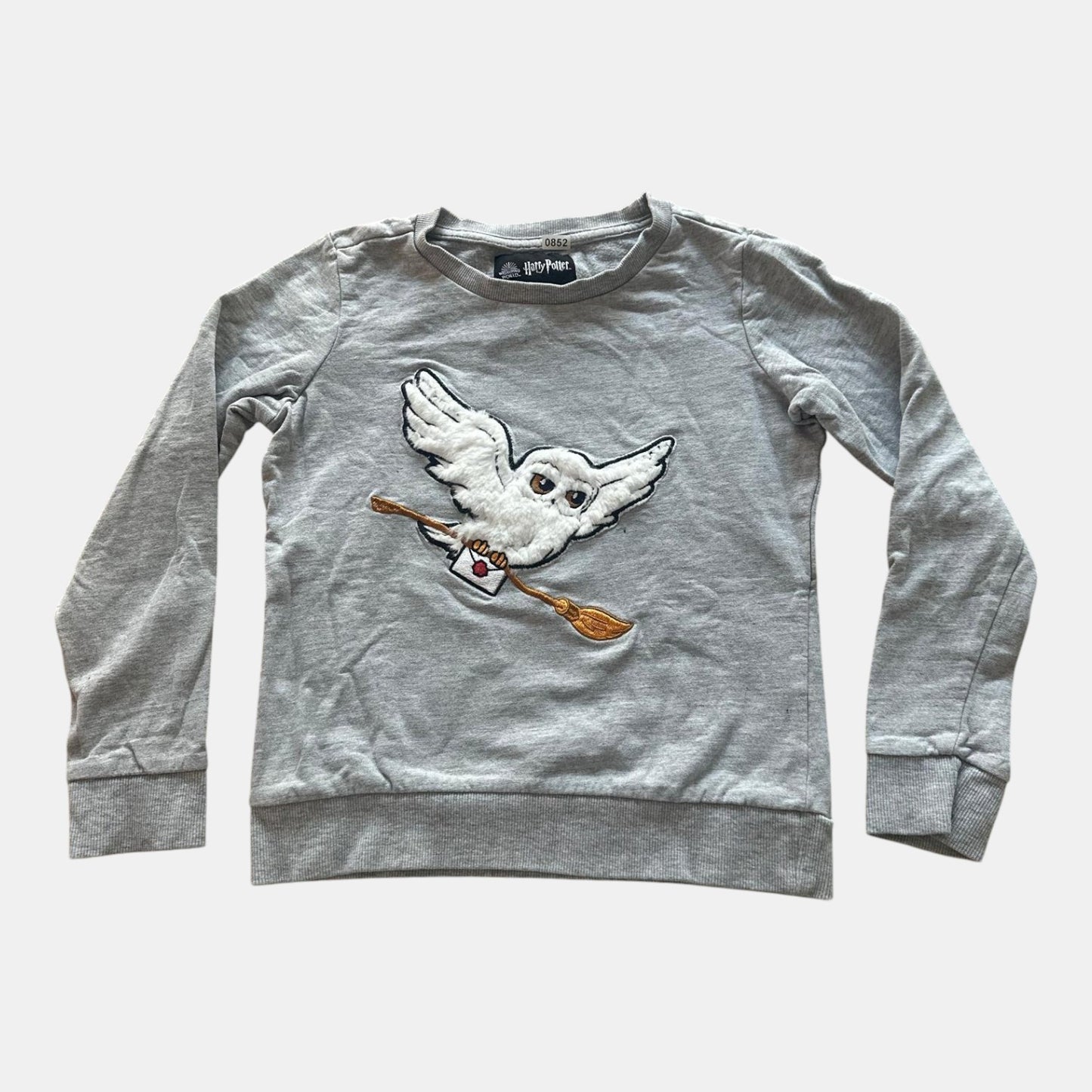 Pull Harry Potter : 10 ans