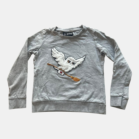 Pull Harry Potter : 10 ans