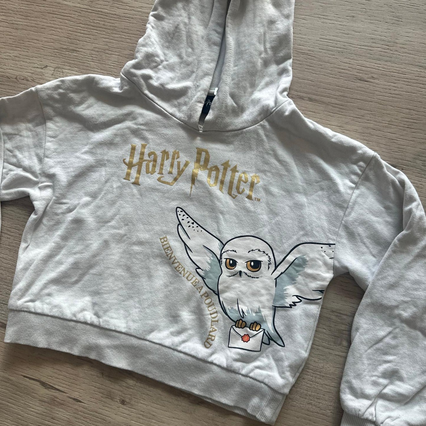 Pull Harry Potter : 6 ans