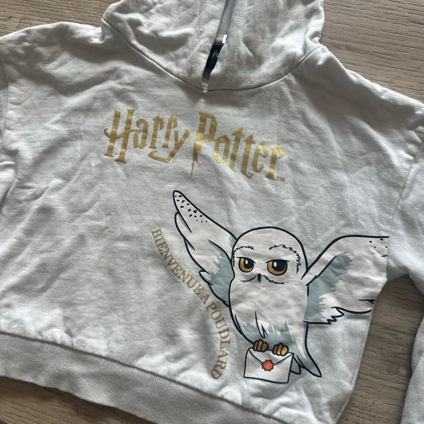 Pull Harry Potter : 6 ans