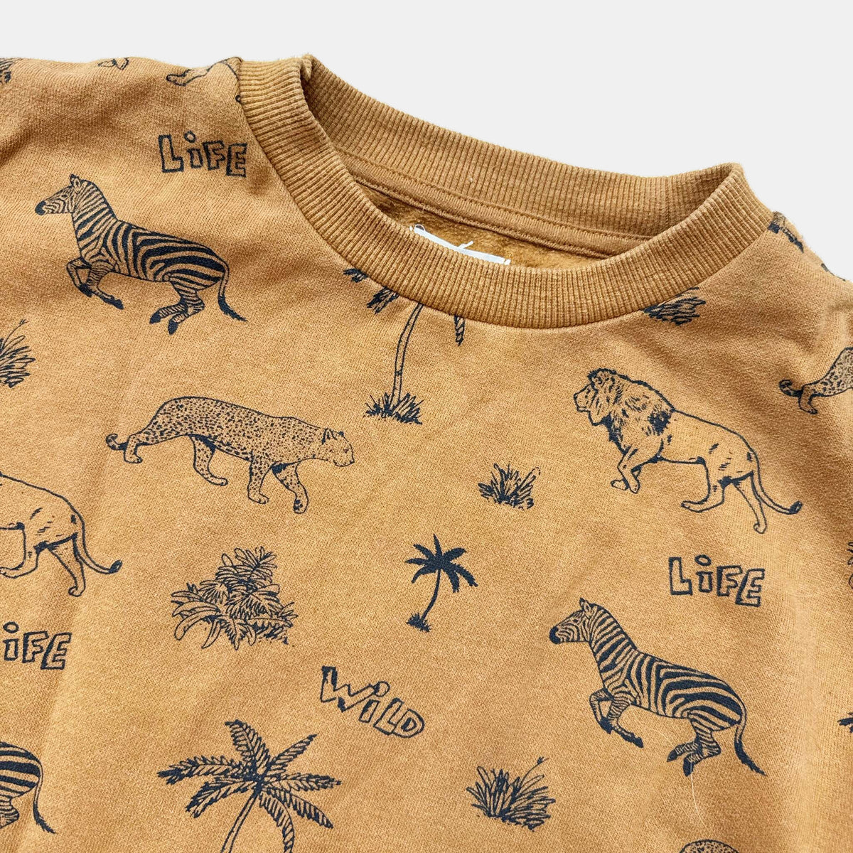 Pull Verbaudet : 10 ans