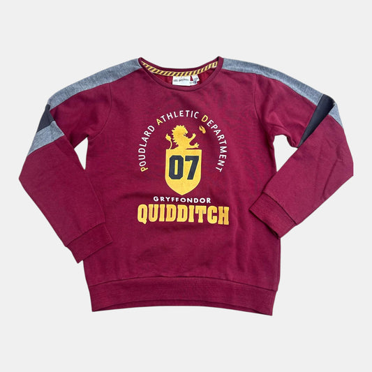 Pull Harry Potter : 12 ans