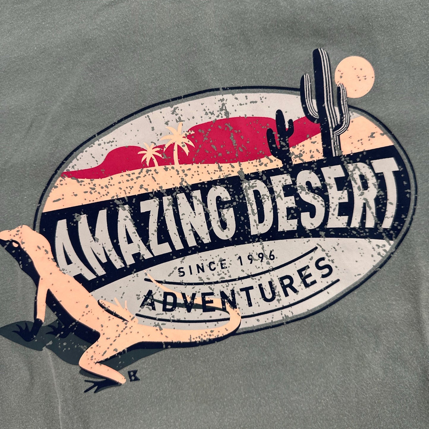 T-Shirt Okaïdi : 14 ans